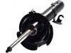 Stoßdämpfer Shock Absorber:1 306 048