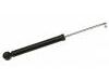 Stoßdämpfer Shock Absorber:1T0 513 029 L