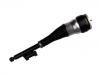 Amortisseur Shock Absorber:222 320 53 13