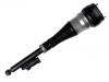 Amortisseur Shock Absorber:222 320 59 01